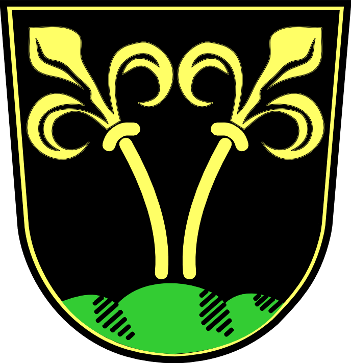 Stadt Traunstein Wappen